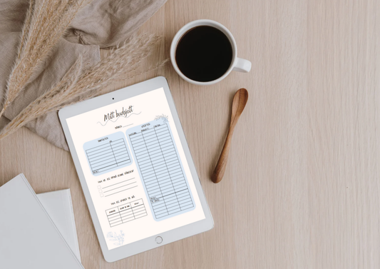 Mitt budsjett